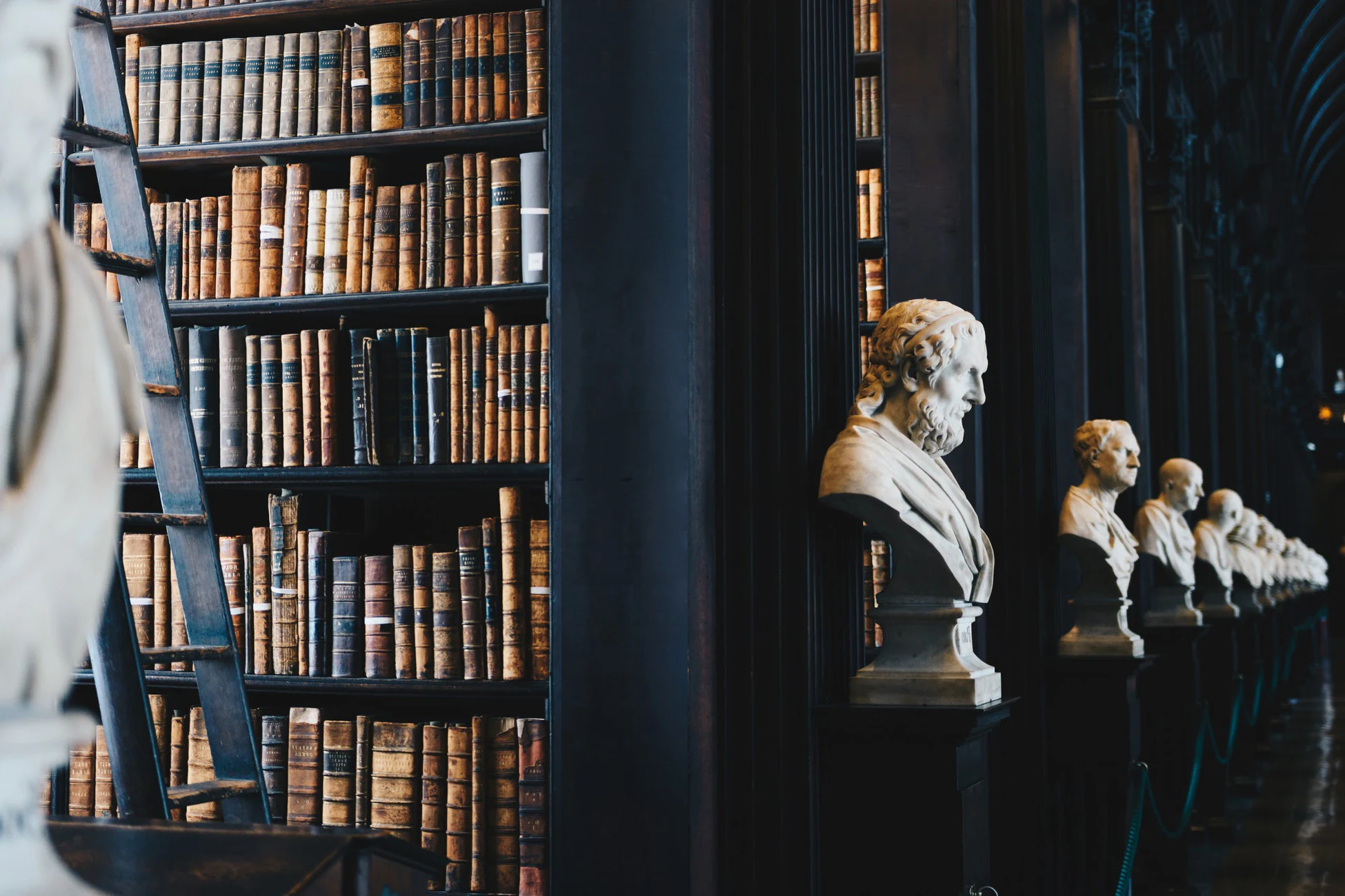 Biblioteca con libri e busti